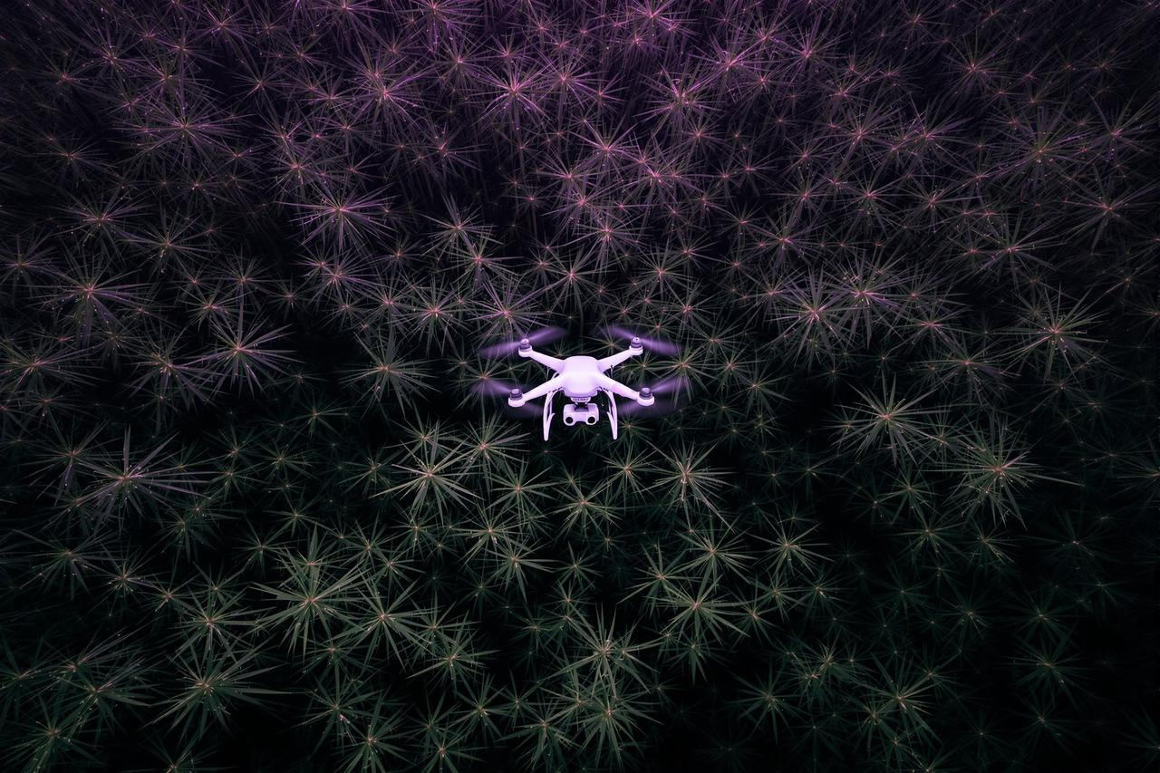 「竹 · 节」的无人机穿越竹林